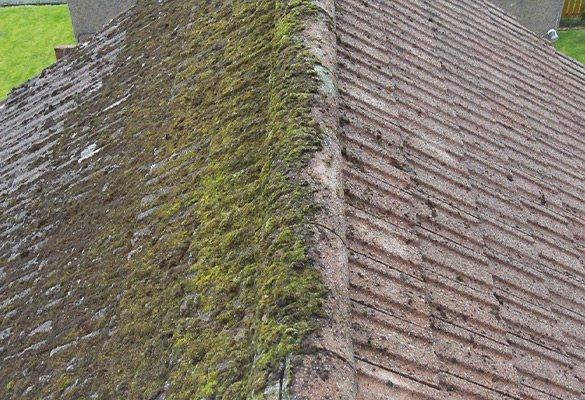 Ent Bischoff : Nettoyage et démoussage de toiture à Pontoise et dans tout le Val d'Oise (95)