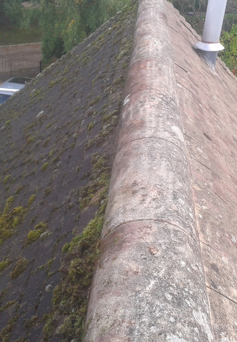 Assurez la propreté et la longévité de votre toiture avec notre service de nettoyage et démoussage à Pontoise